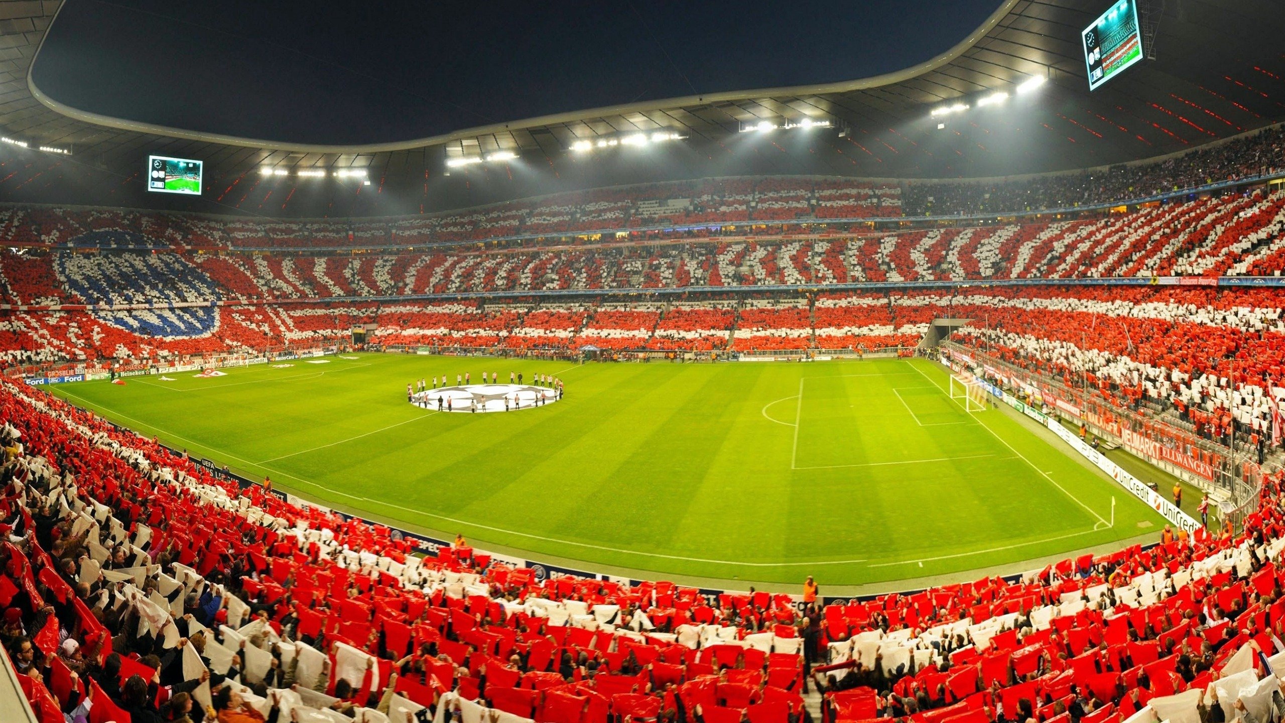 凯尔特人控卫展现强大组织能力引全队认可,凯尔特人队怎么样