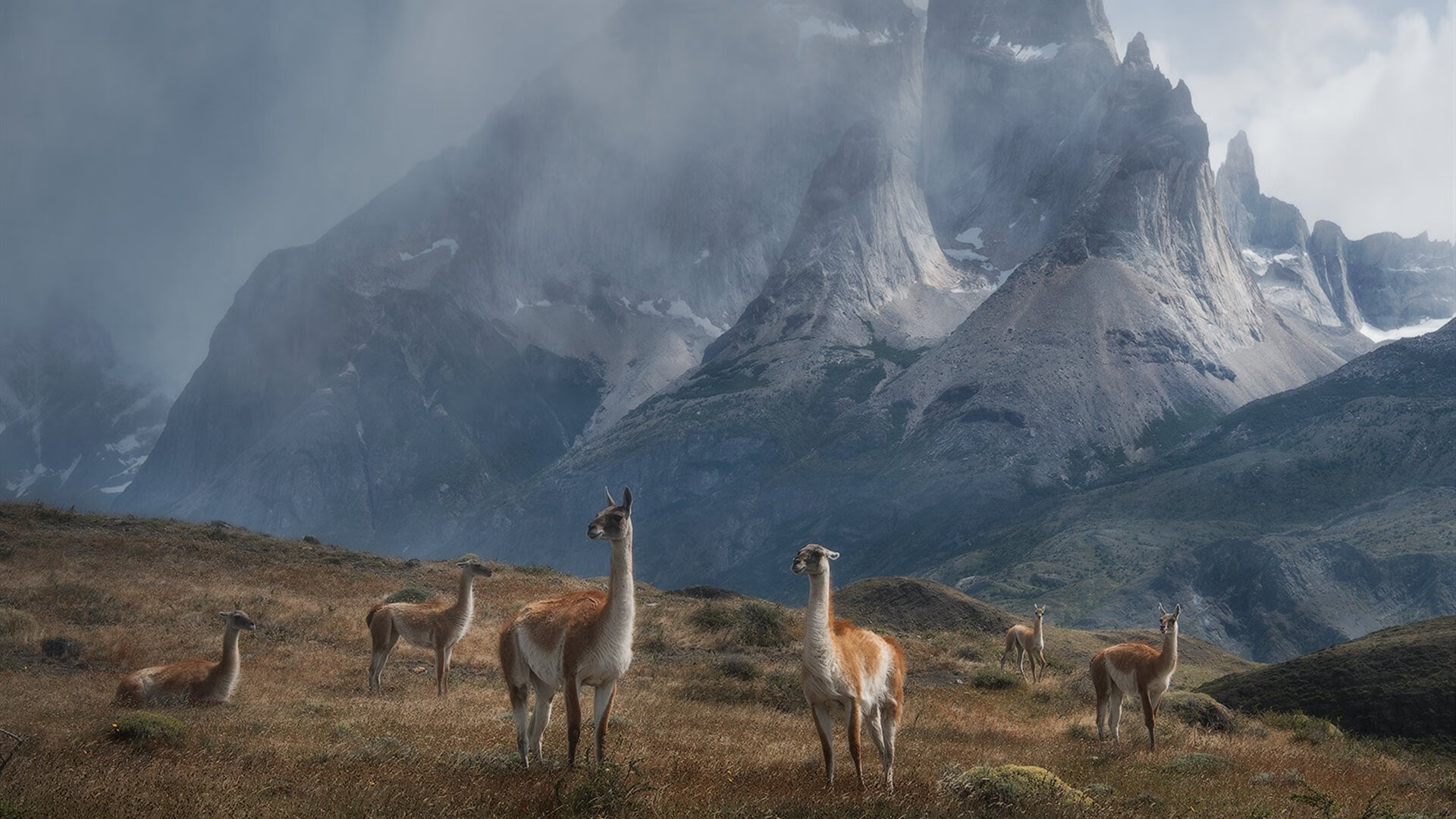 勇士设立“战术创新实验室”,邀请外部专家参与建模,勇士战术手册