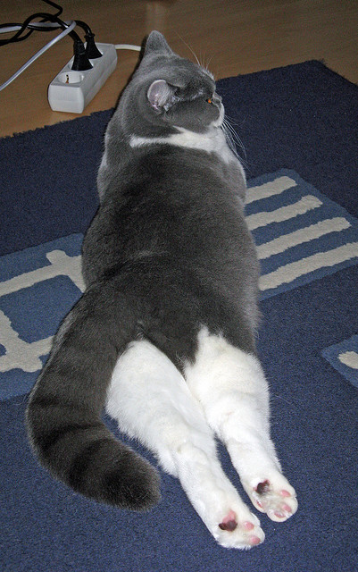 史上最震撼的季后赛瞬间,激励一代又一代球迷,季后赛最有价值球员