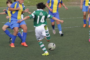 爱游戏官方网站入口登录-中国足球国家队备战友谊赛调整战术策略，国足 友谊赛